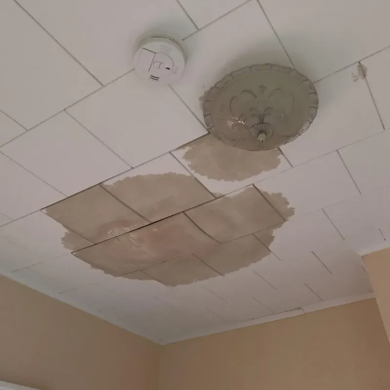 Ceiling Water Damage Repair in Charlotte, NC