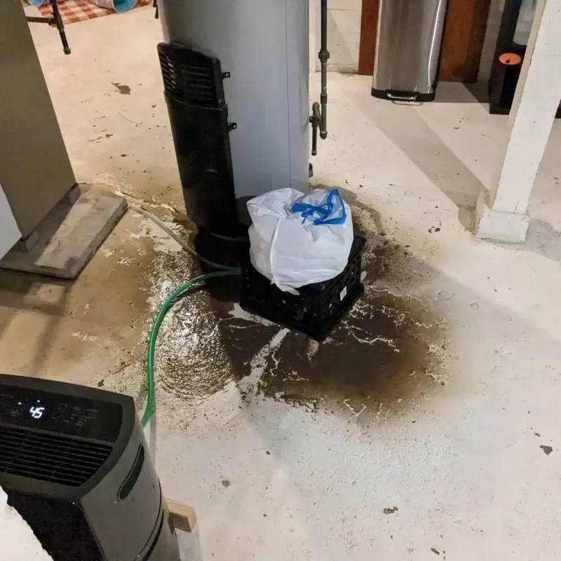 Sewage Backup Cleanup Service in Charlotte, NC